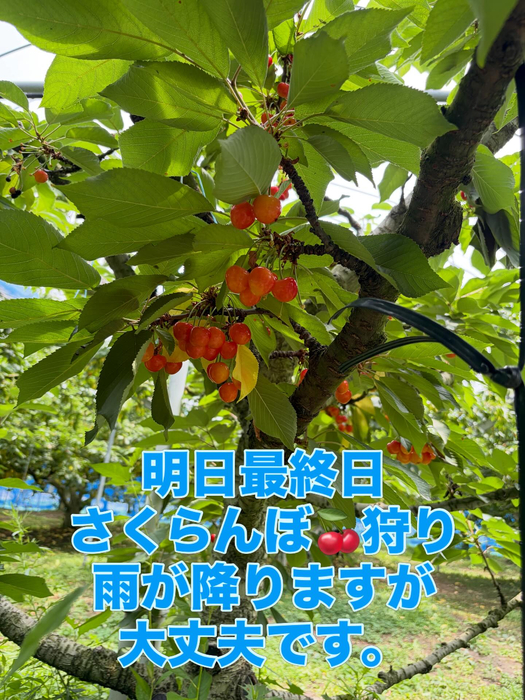 画像773