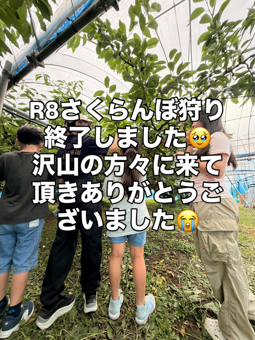 画像779