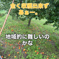 画像782