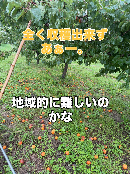 画像782