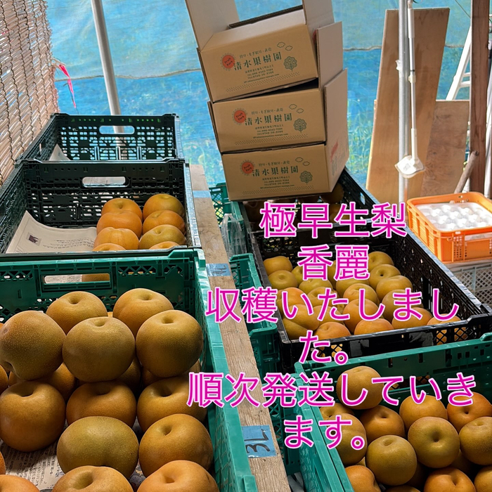 画像784