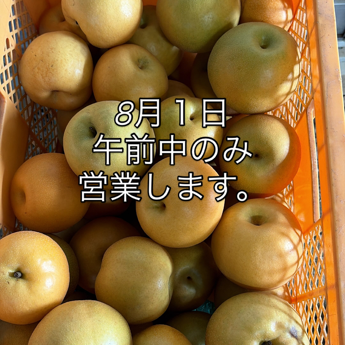 画像786