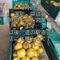 画像788