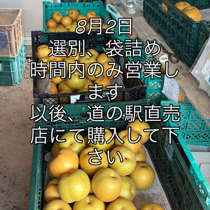 画像788
