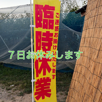 画像790
