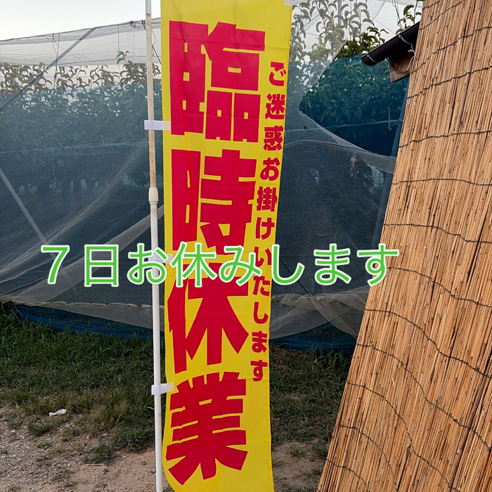 画像790