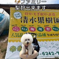 画像808