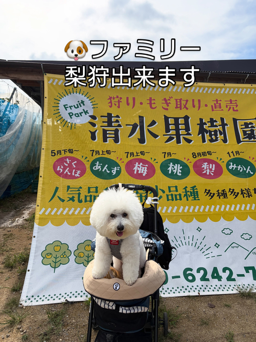 画像808