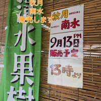 画像811