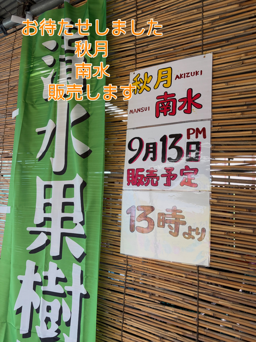 画像811