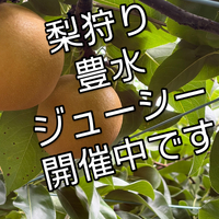 画像812