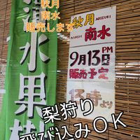 画像815