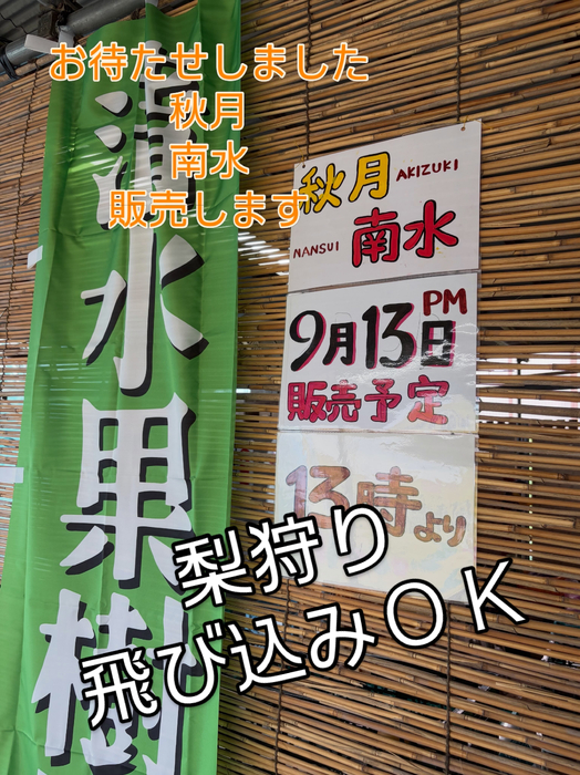 画像815