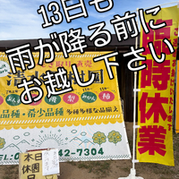 画像817