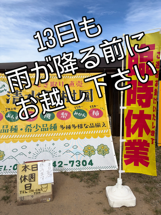 画像817