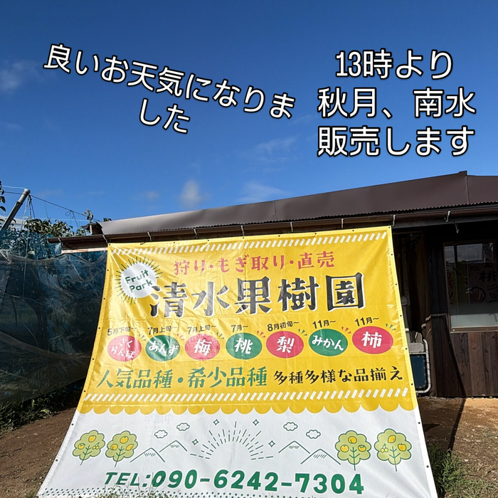 画像819