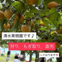 画像823