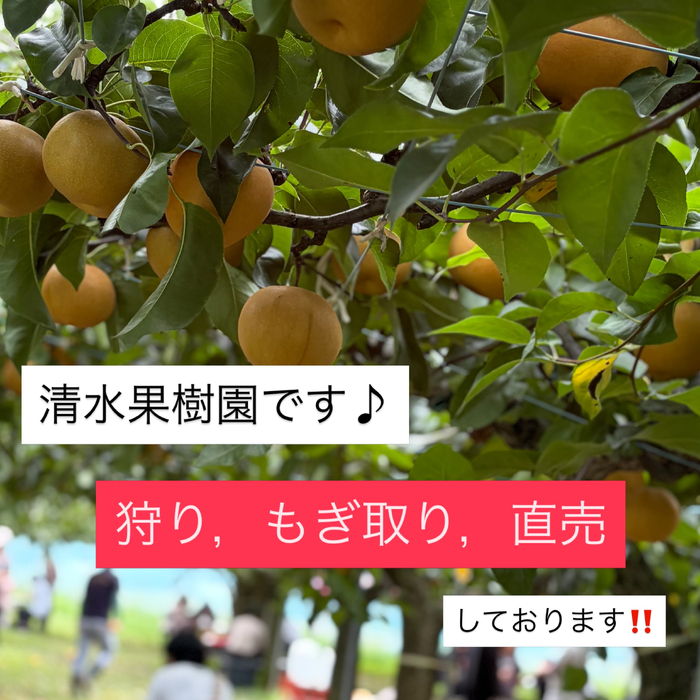 画像823