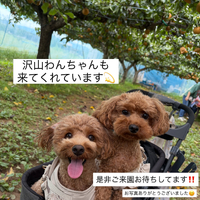 画像824