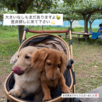 画像825