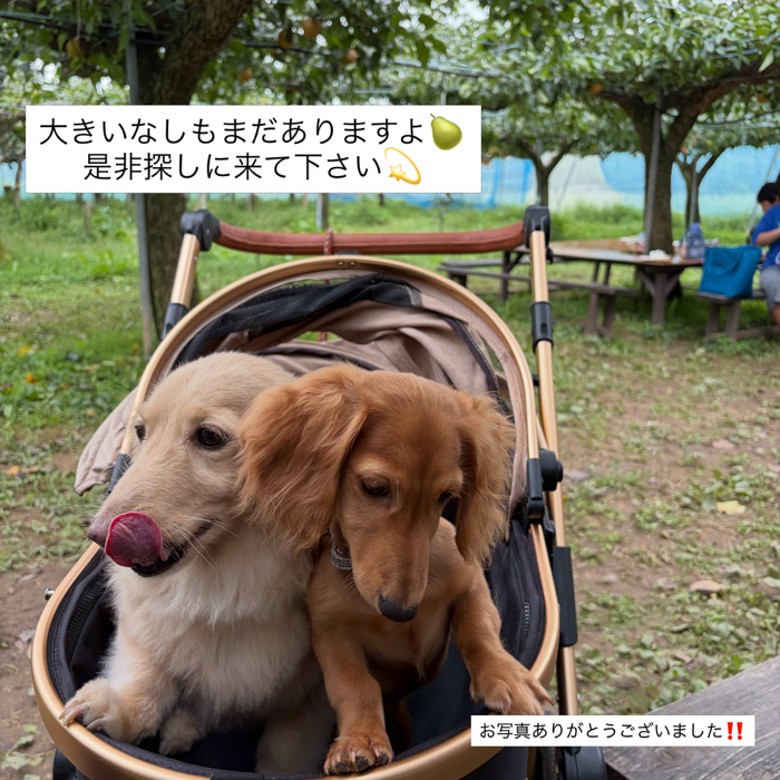画像825