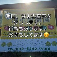 画像827