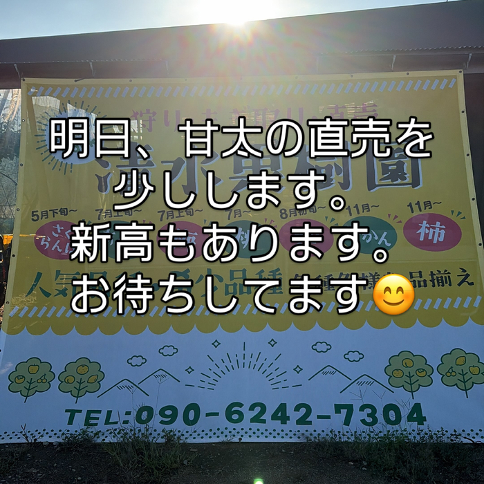 画像827